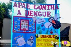 Dia_D_dengue_2024-18